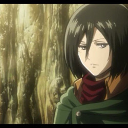 Mikasa avatar