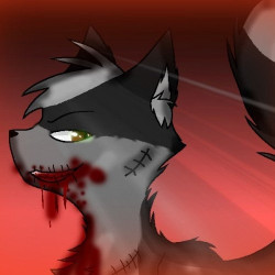 KittyFluffehKat63 avatar