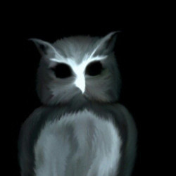 Night_owl avatar
