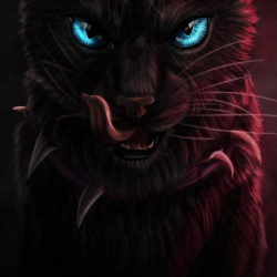 Warriorcats101 avatar