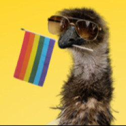 LIMU EMU avatar