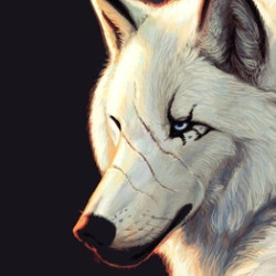 Shadowwolf112 avatar