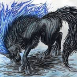 DarkFireWolf-Wolfie avatar